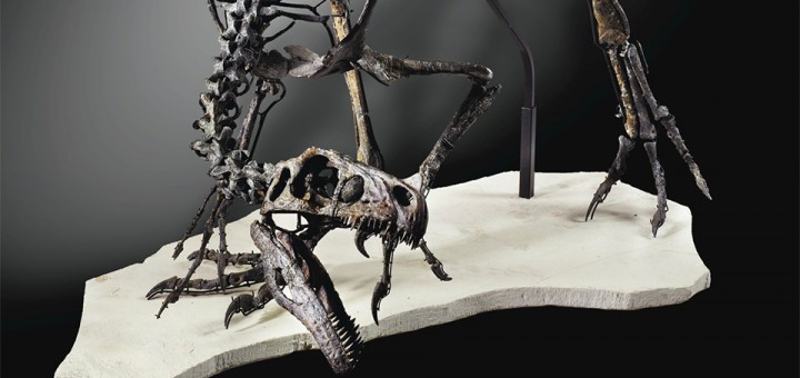 Vente Histoire Naturelle Sotheby's