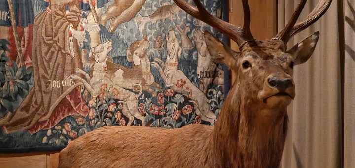 Musée de la Chasse et de la Nature