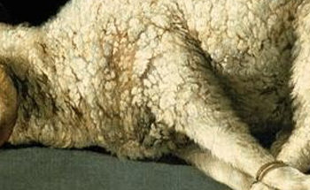 José Saramago - Caïn