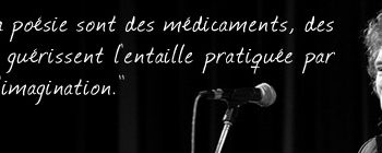 Jeanette Winterson - Pourquoi être heureux quand on peut être normal ?
