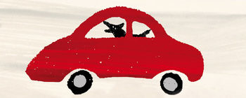 Mark Haddon - Le bizarre incident du chien pendant la nuit