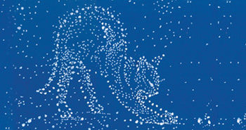 Philippe Forest - Le chat de Schrödinger