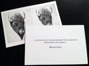 "Les bisons sont venus traverser Paris comme ils traversaient nos plaines"