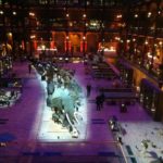 Exposition Nuit au Muséum National d'Histoire Naturelle 9 Exposition Nuit au Muséum National d'Histoire Naturelle 7