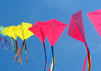 Romain Gary - Les cerfs-volants 6