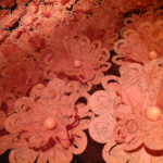 Soline d'Aboville - Fleurs de Paris