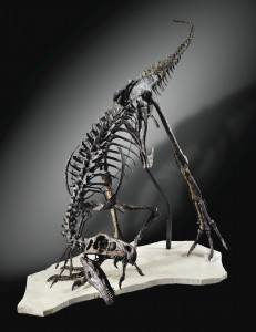 Sotheby's dinosaure Ornitholestes