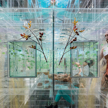 Altmejd musée d'art moderne de Paris