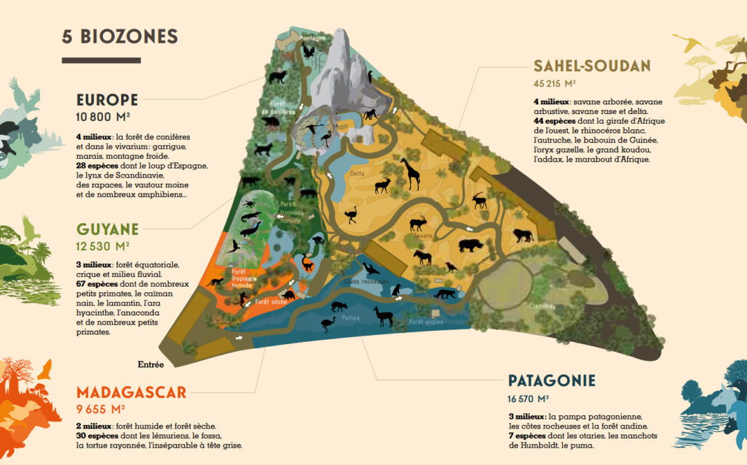 Visite Du Parc Zoologique De Paris - Culturez-vous