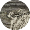 Jean-Dominique Cassini carte de la Lune