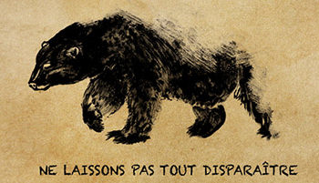 Choisissez l’affiche de la prochaine campagne de la WWF en votant pour les Creative Awards 1