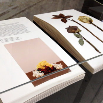 La Biennale de Venise en trois coups de cœur 16