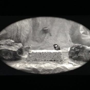 Biennale de Venise 2015 : la forêt d’Helen Sear 21