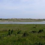 Triennale d’art contemporain Beaufort 2015 : le musée descend dans la rue 3