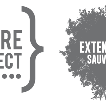 Festival EXTENSION SAUVAGE, danse et paysage 13