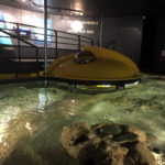 La Cité de la Mer à Cherbourg ou le paradis des passionnés du monde marin 16