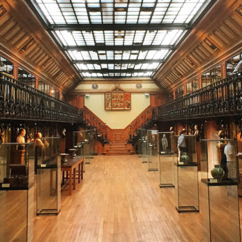 Musée d'Histoire de la Médecine à Paris