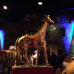 L'insolite musée des Arts Forains 6 Musée des Arts Forains
