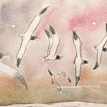 Musée Hergé exposition Hugo Pratt