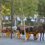 La belle Séville, ville chargée d'histoire 20