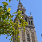 La belle Séville, ville chargée d'histoire 14