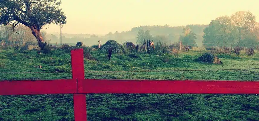 The White Birch, The Weight Of Spring