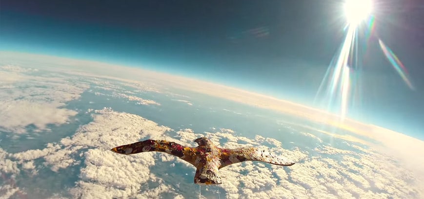 Laurent Lamarca, Le vol des cygnes