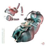 PERSONA, Etrangement humain au musée du quai Branly 11 PERSONA, Etrangement humain au musée du quai Branly 11