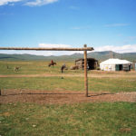 Tour du monde de l’habitat précaire à la Cité de l'Architecture 5 Habiter le campement - Yourte dans la vallée de l'Orkhon - Jeanne Menjoulet