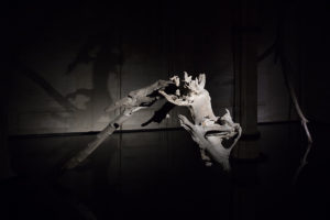 Solitaire - Stephane Thidet - Collège des Bernardins