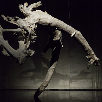 Solitaire par Stéphane Thidet au Collège des Bernardins 1