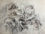 Eugène Delacroix, Étude pour La mort de Sardanapale