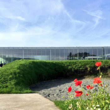 Musée du Louvre Lens