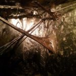 Le Lab 14, lieu éphémère de création 8 Lab 14