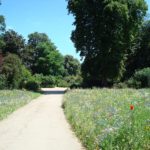 Le musée d’Archéologie nationale de Saint-Germain-en-Laye 5 © MAN