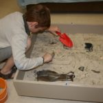 Le musée d’Archéologie nationale de Saint-Germain-en-Laye 10 Fouilles © MAN