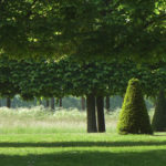 Le musée d’Archéologie nationale de Saint-Germain-en-Laye 6 Jardins du domaine national aujourd'hui