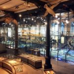 Galerie des Dinosaures