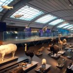 Galerie de l'Evolution