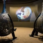 Galerie de l'Homme © KBIN - Thierry Hubin