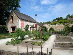 Potager du château du Clos Lucé