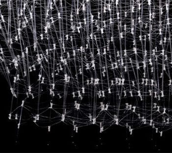 University of Tokyo, Drawn Pavillon 2017