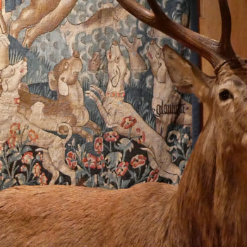 Musée de la Chasse et de la Nature