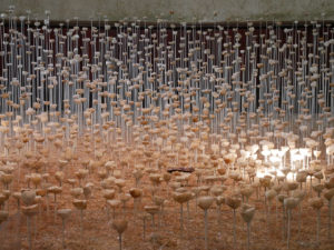 Le Nid des Murmures, l’oeuvre poétique de Stéphane Guiran au domaine de Chaumont-sur-Loire 4 Stéphane Guiran - Le nid des murmures