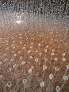 Le Nid des Murmures, l’oeuvre poétique de Stéphane Guiran au domaine de Chaumont-sur-Loire 7 Stéphane Guiran - Le nid des murmures