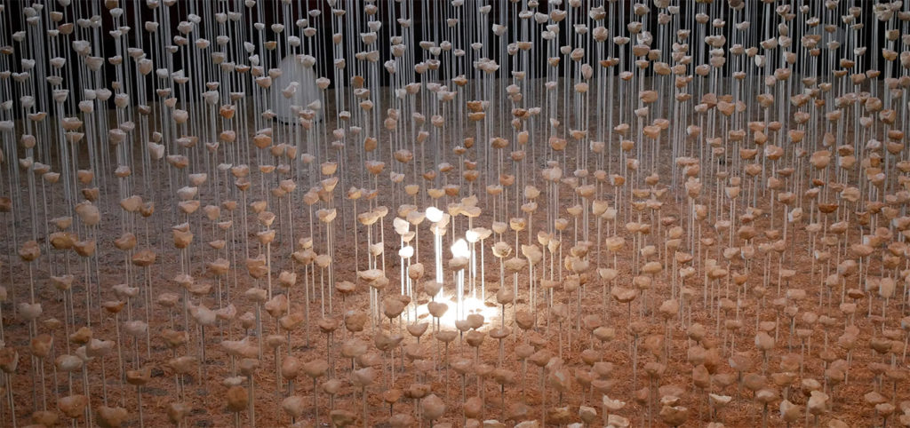 Stéphane Guiran - Le nid des murmures