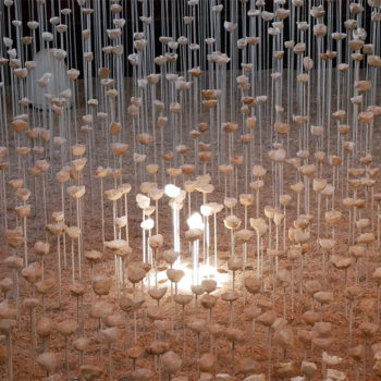 Stéphane Guiran - Le nid des murmures