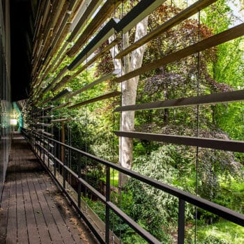 Musée départemental Albert- Kahn, nouveau bâtiment conçu par l’architecte Kengo Kuma © CD92/Olivier Ravoire