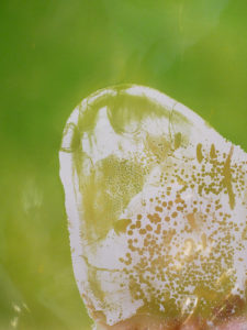 Le Grand Musée du Parfum : l’éveil des sens au cœur de Paris 14 Exposition "Drops" au Grand Musée du Parfum