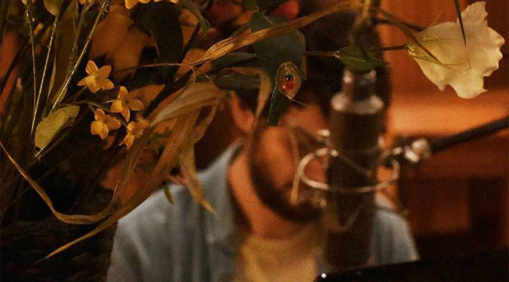 Pharaon de Winter, L'habitacle